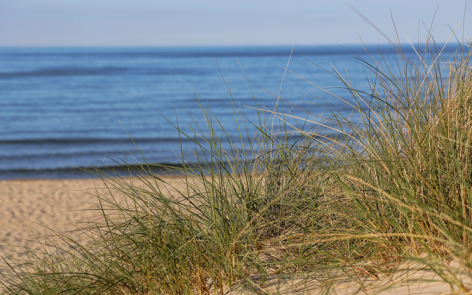 Ostseestrand